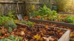Les maraîchers n'en peuvent plus de le répéter : ranger la bêche en novembre au profit de ce geste nourrit le potager tout l'hiver