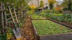 Les maraîchers n'en peuvent plus de le répéter : sortir la bêche au potager en octobre abîme le sol bien plus que le gel de l'hiver