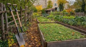 Les maraîchers n'en peuvent plus de le répéter : sortir la bêche au potager en octobre abîme le sol bien plus que le gel de l'hiver