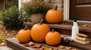 Les paysagistes n'en creusent plus une seule en octobre : ce geste tout simple permet de garder les citrouilles intactes pendant un mois