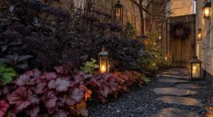 Les paysagistes n'en peuvent plus de le répéter : associer le sureau noir aux heuchères en octobre métamorphose le jardin tout l'hiver