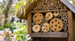 Les pépiniéristes n'en peuvent plus de le répéter : nettoyer un hôtel à insectes en mars détruit les couvées d'abeilles solitaires