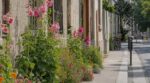 Mon voisin sème des roses trémières au ras du trottoir en octobre, et ce n'est pas illégal : c'est sa mairie qui lui a tout fourni