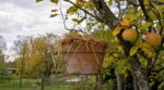Mon voisin suspend un pot de paille dans son pommier en octobre, et ce n'est pas pour décorer : c'est l'astuce d'un ancien contre les pucerons
