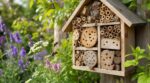 « On l'accroche tous là où c'est joli » : cette habitude très répandue qui laisse l'hôtel à insectes totalement vide au printemps