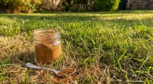 Pelouse grillée après l'été : cette épice du placard la sauve sans engrais, les paysagistes confirment