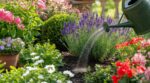 Plantes d'extérieur : ce mauvais réflexe d'arrosage en été peut ruiner vos massifs, les pros n'en reviennent pas