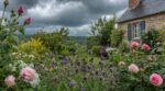 Pluie imminente : ces plantes de votre jardin vous préviennent avant la météo, à condition de repérer ce détail