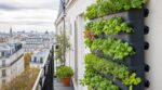 Plus personne ne pose une jardinière sur la rambarde : ce potager vertical sur 2 m² double les récoltes de mâche dès fin octobre
