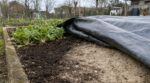 Potager : j'ai laissé une bâche plastique tout l'hiver, ce que j'ai découvert dessous peut ruiner votre sol