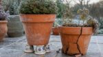 Pots en terre cuite : ce geste des anciens avant les gelées évite la casse et peut vous coûter cher si vous l’oubliez