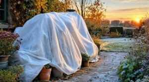 Premières gelées : ce vieux linge de chambre posé le soir peut sauver vos pots et bordures, si vous évitez ce piège