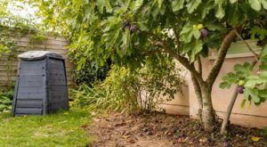 Rongeurs et serpents dans le jardin : si le compost est propre, c'est cet arbre fruitier près de la maison qui les fixe