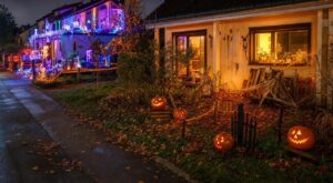 Son voisin a dépensé 300 € en LED pour le 31 octobre : avec de simples feuilles mortes, c'est son jardin que les enfants ont choisi