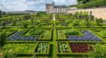 « Tout est net, tout est propre » : la méthode du chef jardinier de Villandry pour aligner 50 000 buis en Indre-et-Loire sans chimie