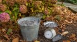 Tout le monde vide la cendre du poêle au pied des massifs d'hortensias en novembre : les pépiniéristes, eux, la pèsent toujours avant