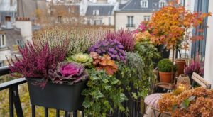 Voici la combinaison de plantes d'automne qui garde votre balcon fleuri jusqu'aux gelées (et l'erreur à éviter)