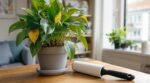 Vos plantes d'intérieur semblent en forme ? Cet accessoire de votre dressing révèle l'attaque invisible des parasites