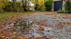 Vous avez une allée en gravier ? Cette erreur avec les feuilles mortes crée au printemps un bouchon que vous ignorez